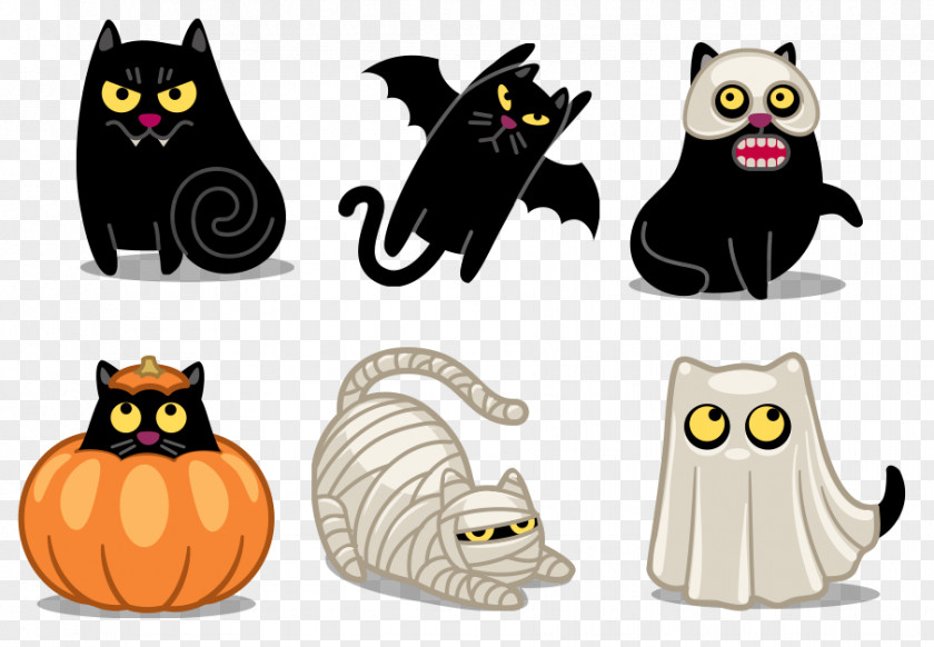 Halloween Cat Icon PNG