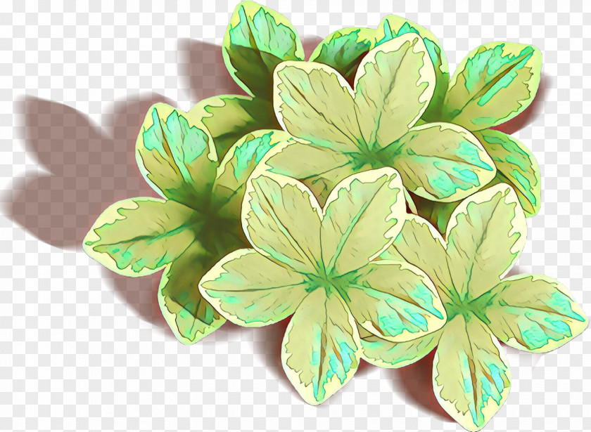Leaf Flower Plant Petal Symbol PNG