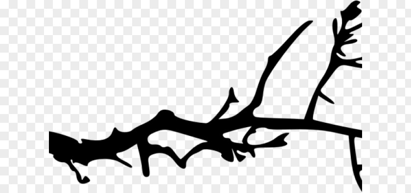 Line Art Plant Tree Branch Silhouette PNG