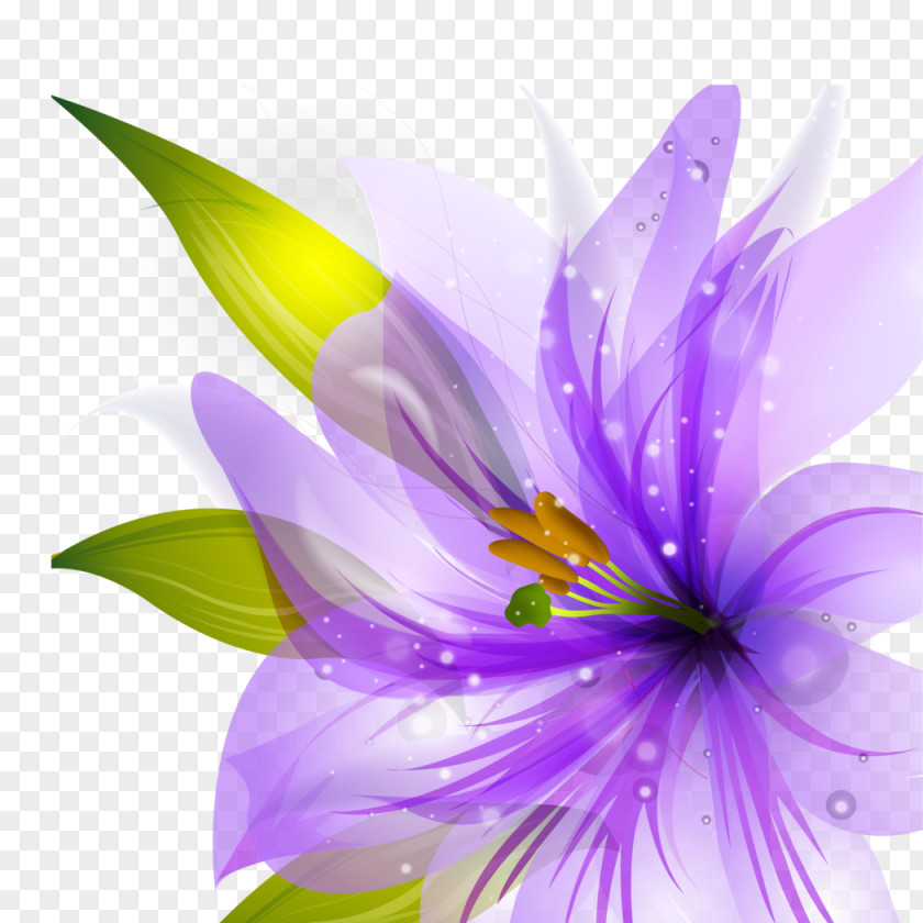 Blue Flower Border Flowers Purple Desktop Wallpaper PNG
