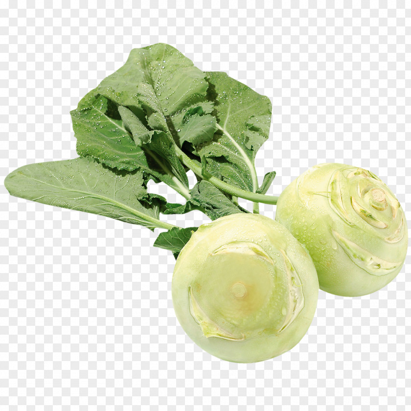 Cabbage Cruciferous Vegetables Kohlrabi Turnip Natural Foods PNG