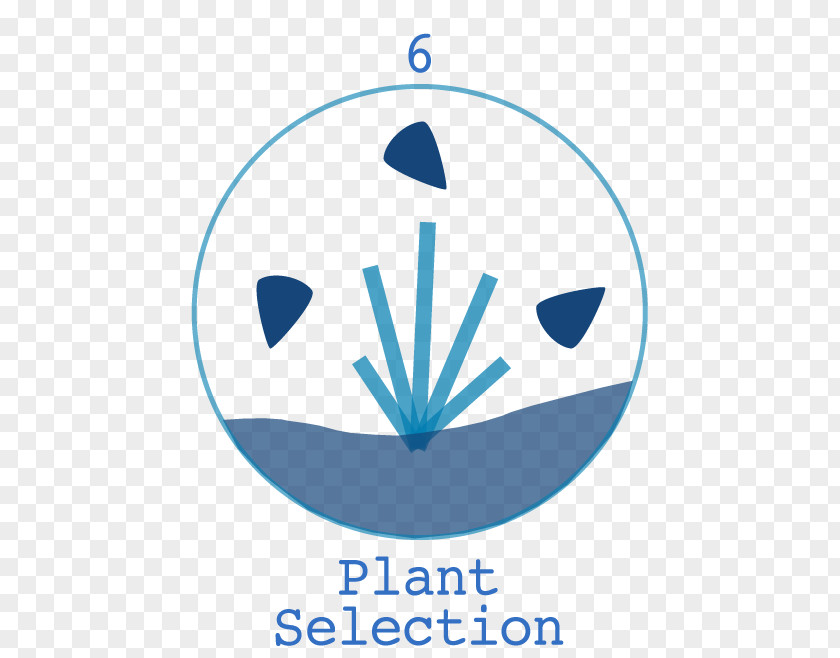 Noxious Weed Identification Clip Art Logo Brand Product Line PNG