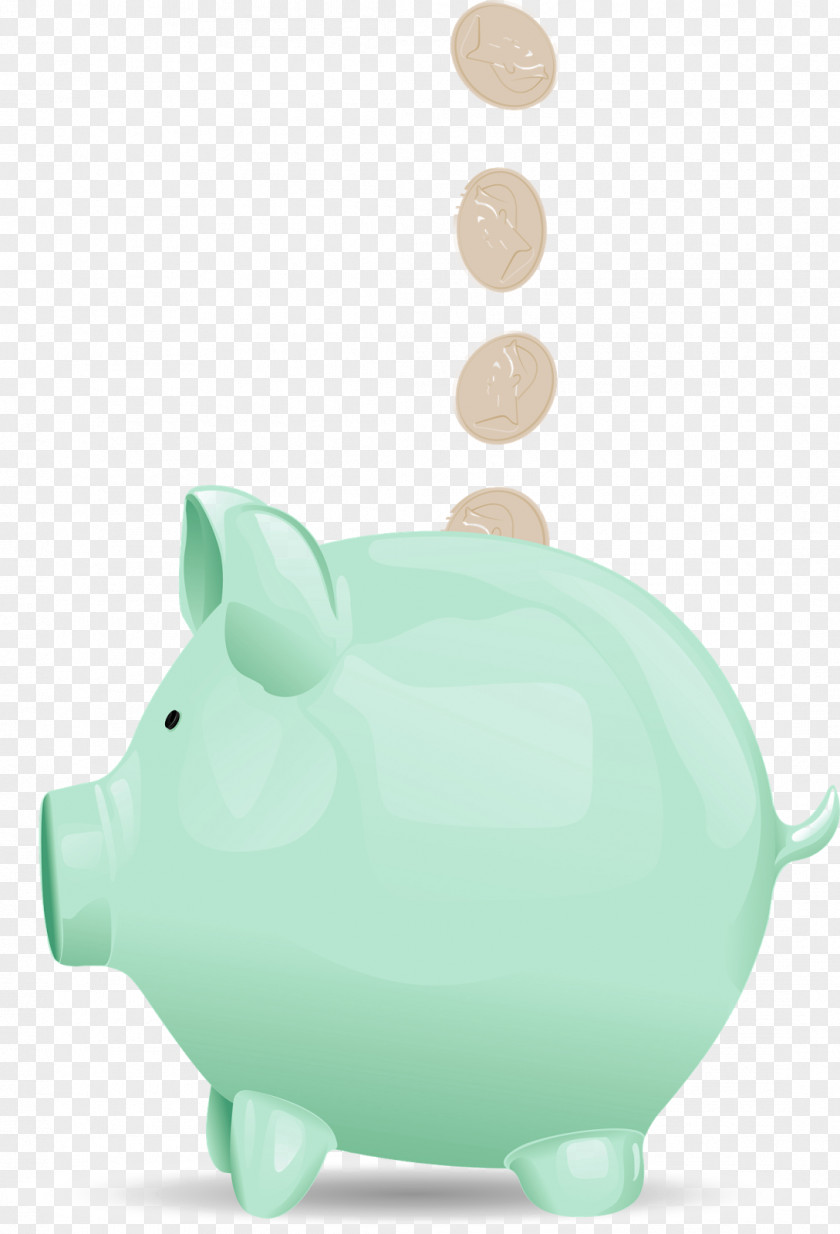 Piggy Vector Bank Snout PNG