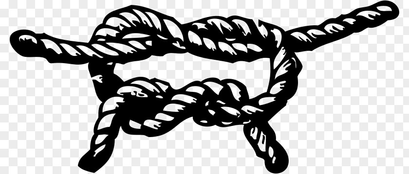 Rope Knot Clip Art PNG