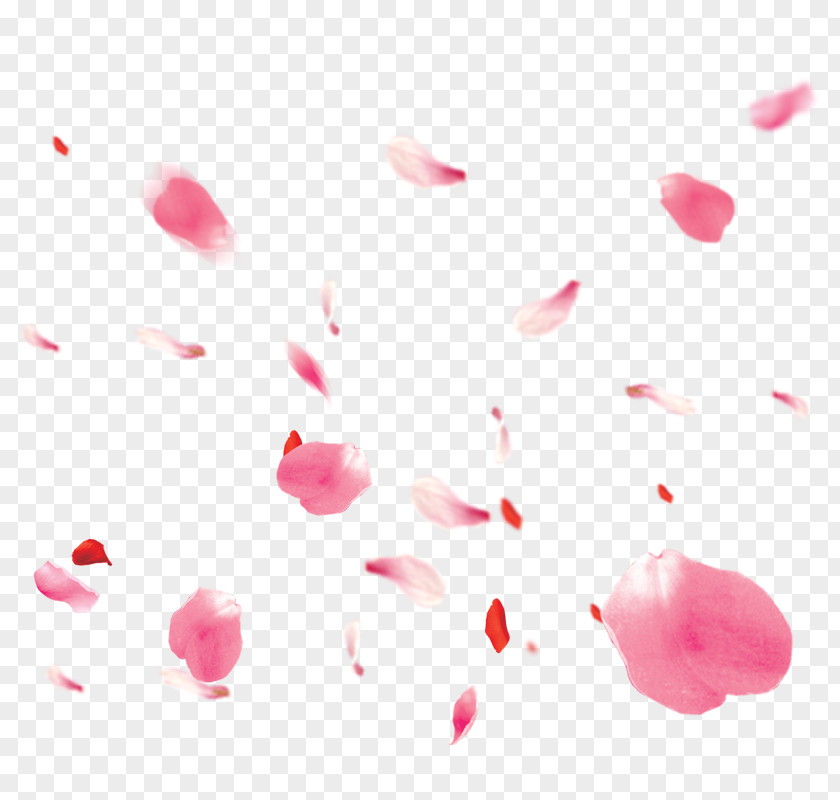 Simple Pink Rose Petal Flower Image Download PNG