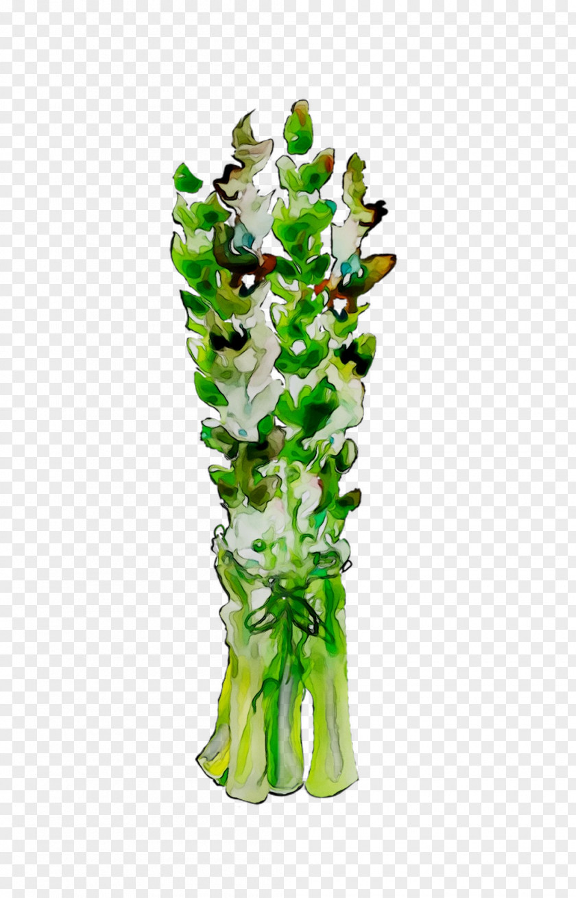 Tree Plant Stem Plants PNG