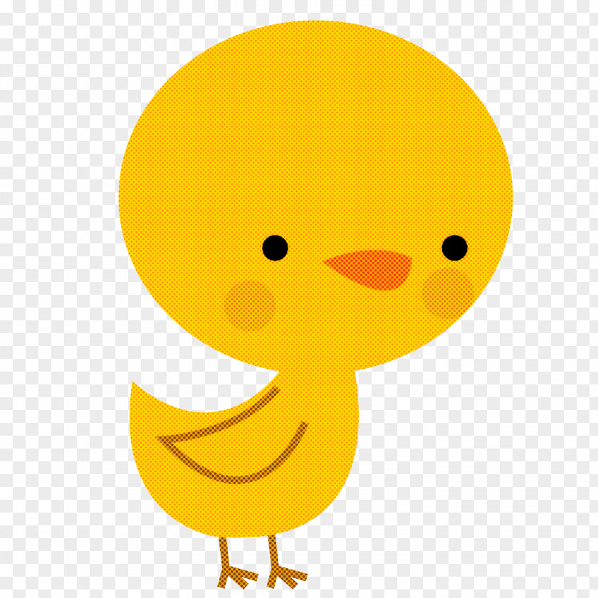 Birds Duck Beak Water Bird Cartoon PNG