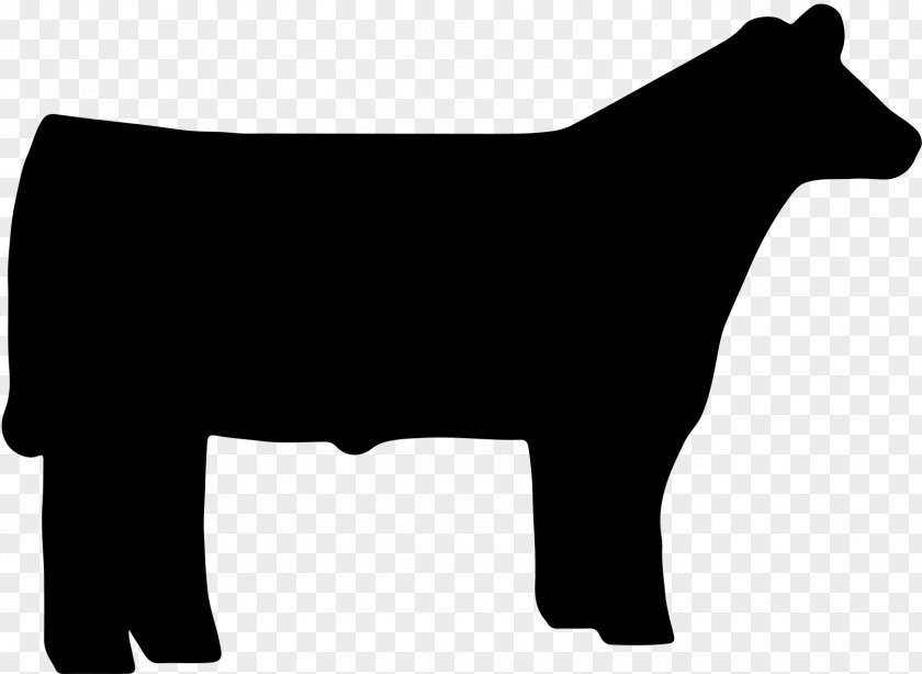 Cow Beef Cattle Angus Sheep Livestock Show Clip Art PNG
