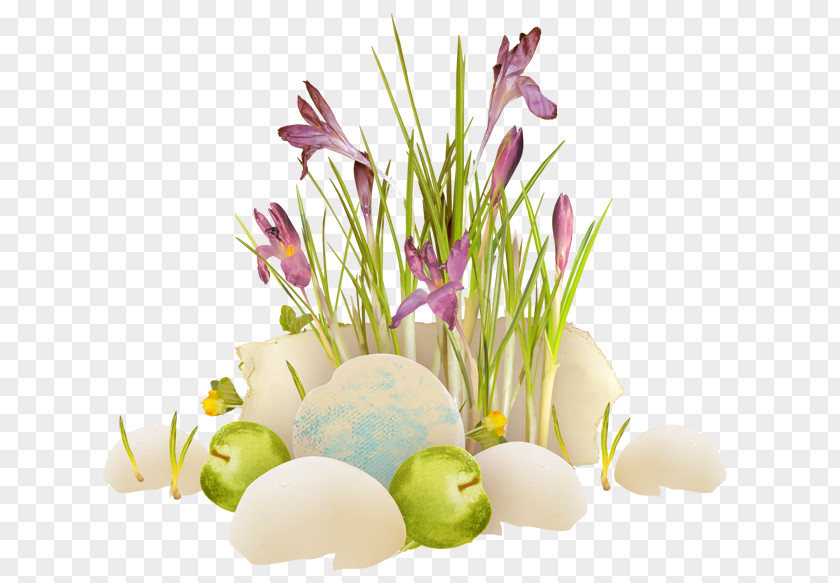 Easter Bunny Greeting Clip Art PNG