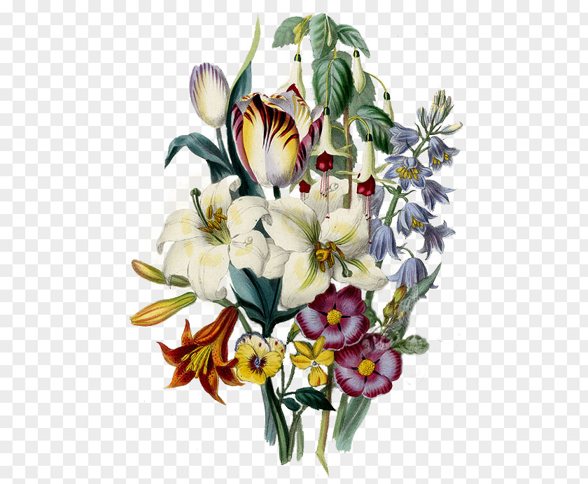 Flower Floral Design Printmaking Printing Watercolor Painting PNG
