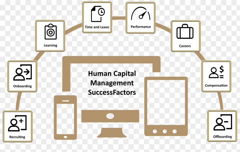 Human Capital Resource Onboarding Talent Management PNG