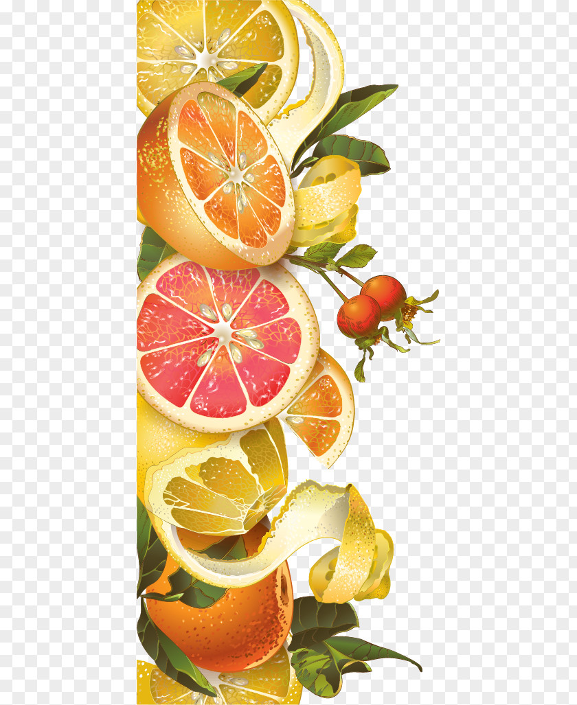 Vector Background Retro Orange Lemon Honey Juice Tea Grapefruit Berry PNG