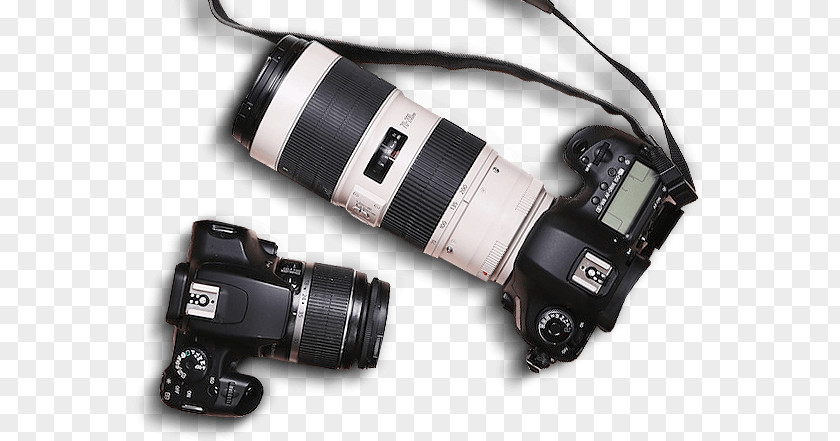 Wedding Camera Lens Digital Photography PNG