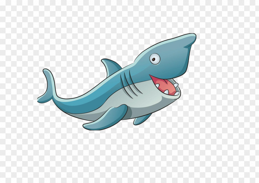 Cartoon Shark Illustration PNG