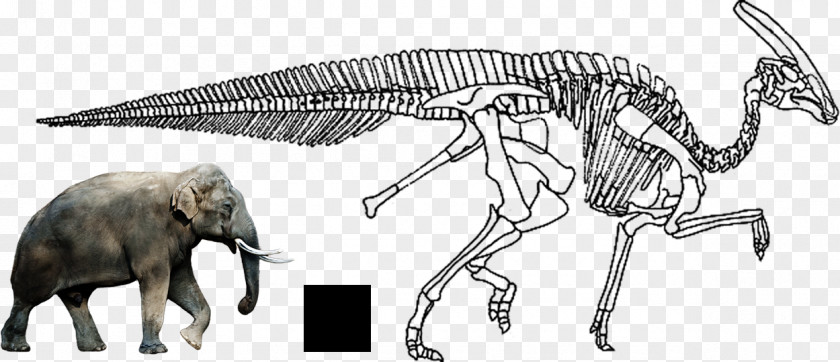 Dinosaur African Elephant Charonosaurus Indian Tyrannosaurus Ankylosaurus PNG