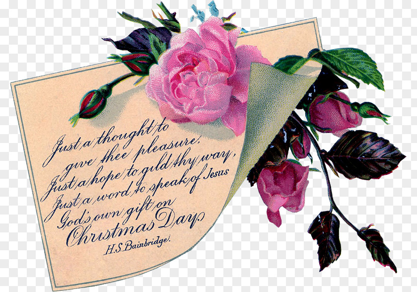 Fairy Vintage Garden Roses Paper Floral Design Map PNG