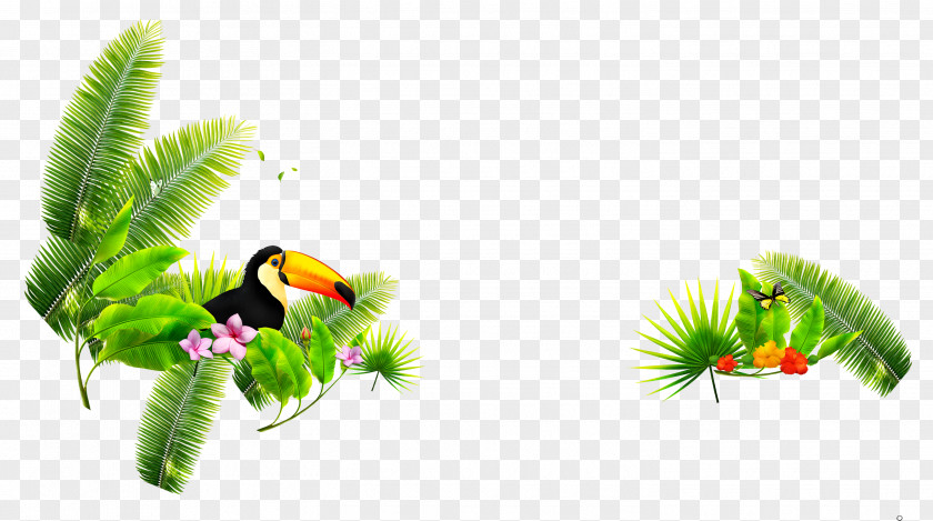 Flowers Download Tree Euclidean Vector PNG