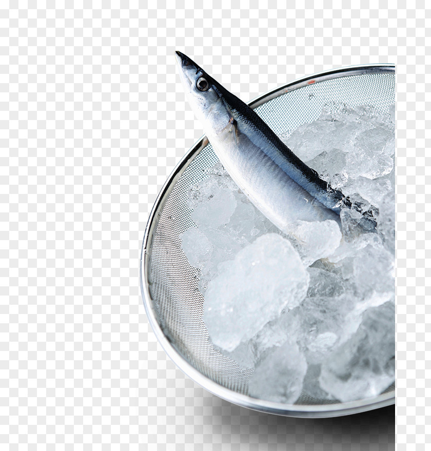 Frozen Fish Seafood Seawater PNG