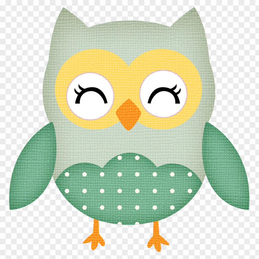 Owl Baby Clip Art Image Drawing PNG