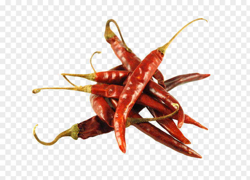 Pequin Mexican Cuisine Chile De árbol Poblano Guajillo Chili Pepper PNG