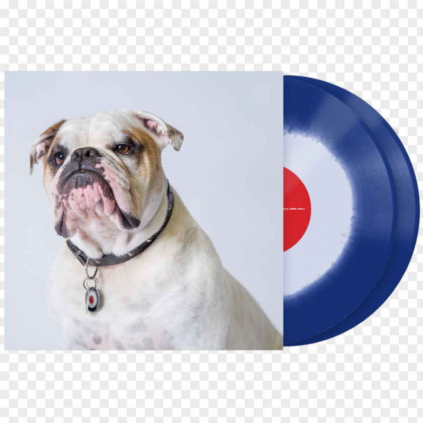 Vinyl Cover Dorset Olde Tyme Bulldogge American Bulldog English Serato Audio Research Emulation Software PNG