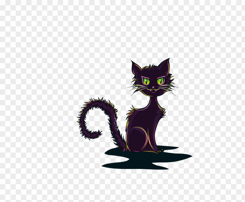 Cat Black Kitten Whiskers PNG