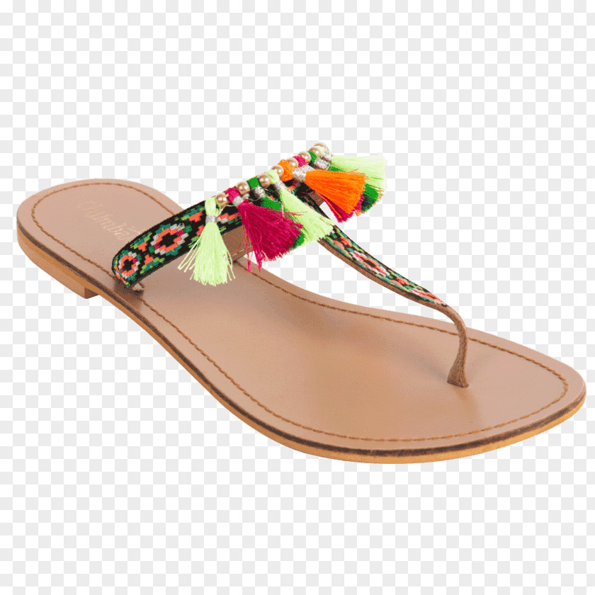 Chappal Flip-flops Shoe Walking Product PNG