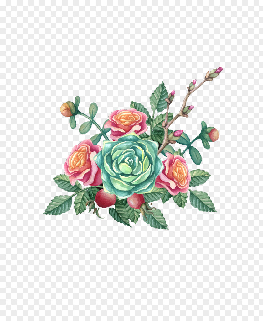 Color Peony Euclidean Vector Flower Corsage Painting PNG