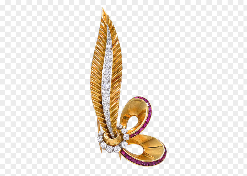 Feather Brooch Jewellery Pin PNG