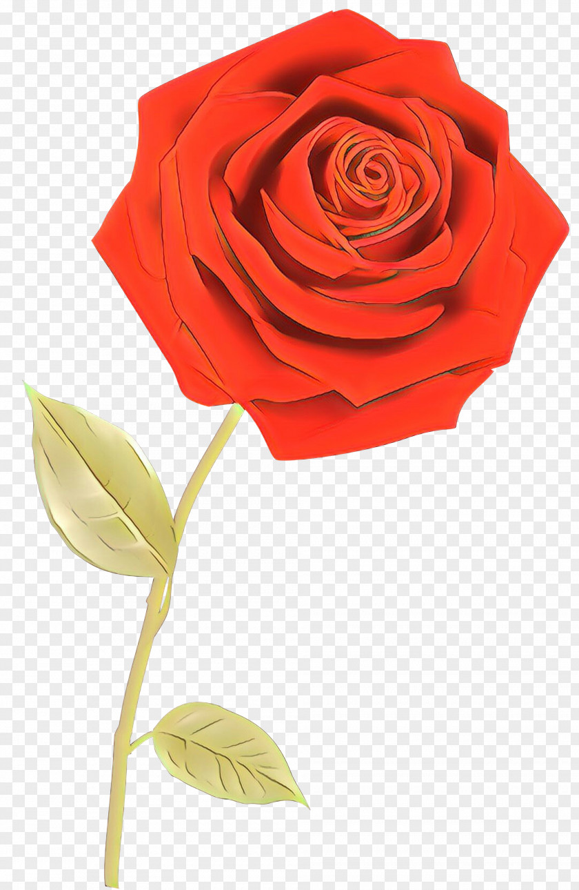 Garden Roses Floristry Cut Flowers Petal PNG