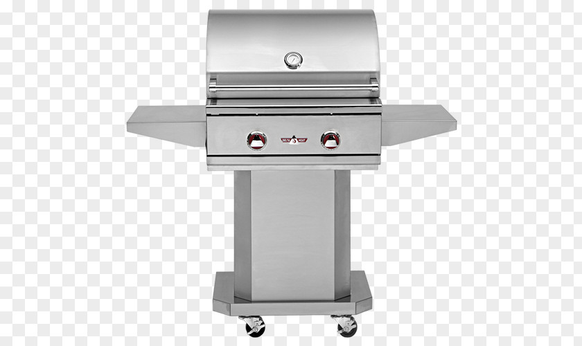 Barbecue Stainless Steel Heat Propane PNG