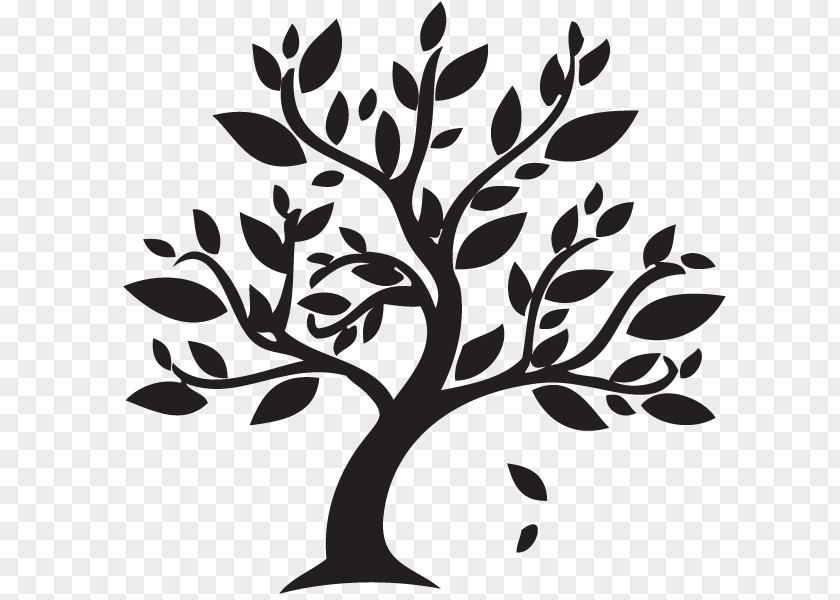 Bird On A Tree Branch Drawing Jesus Or Yeshua? Exploring The Jewish Roots Of Christianity Bible Gospel Judaism PNG
