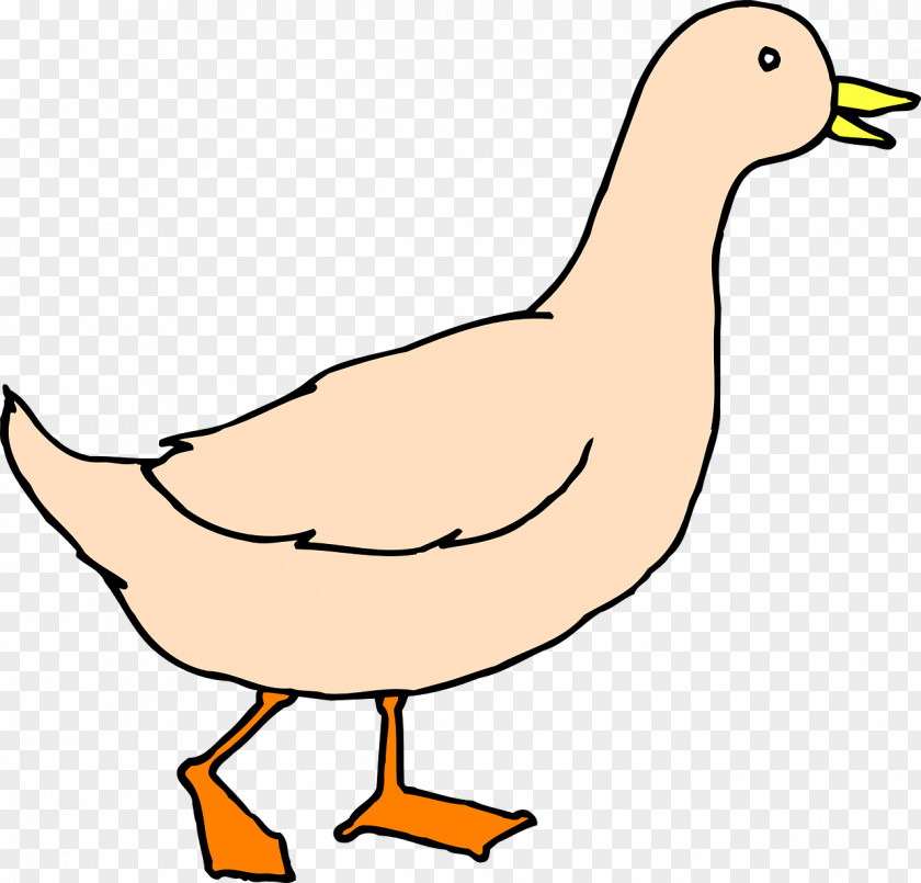 Duck Baby Duckling Mallard Clip Art PNG
