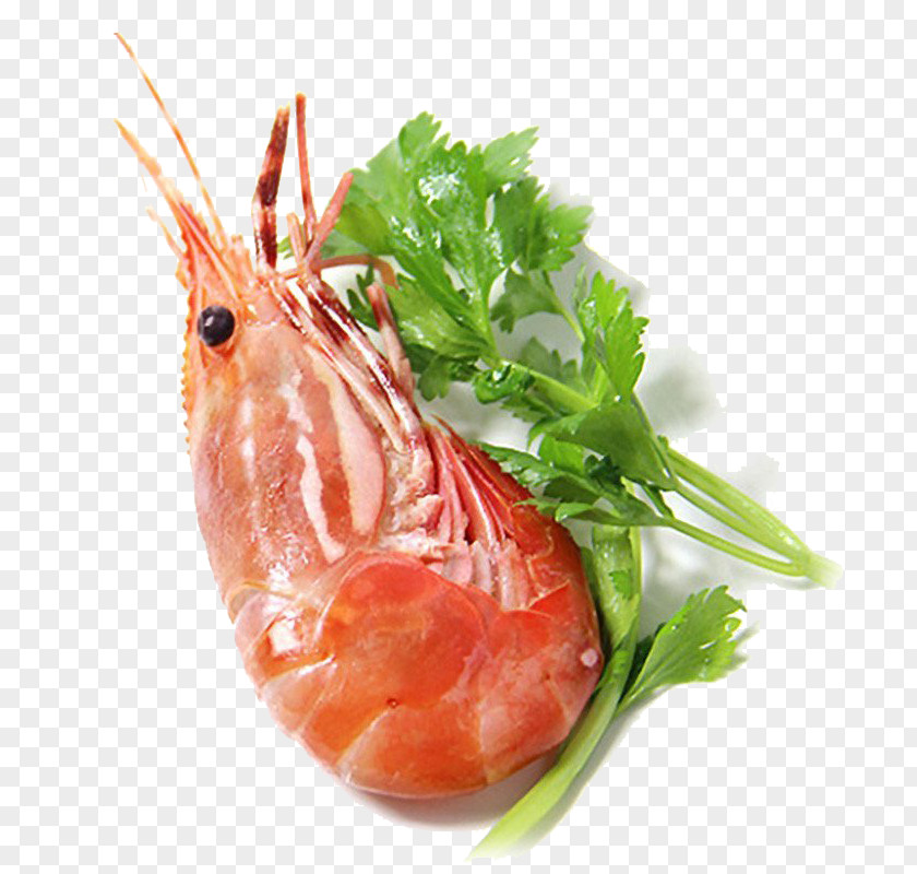 Frozen Cooked Shrimp Imports Peony Caridea U7261u4e39u867e PNG