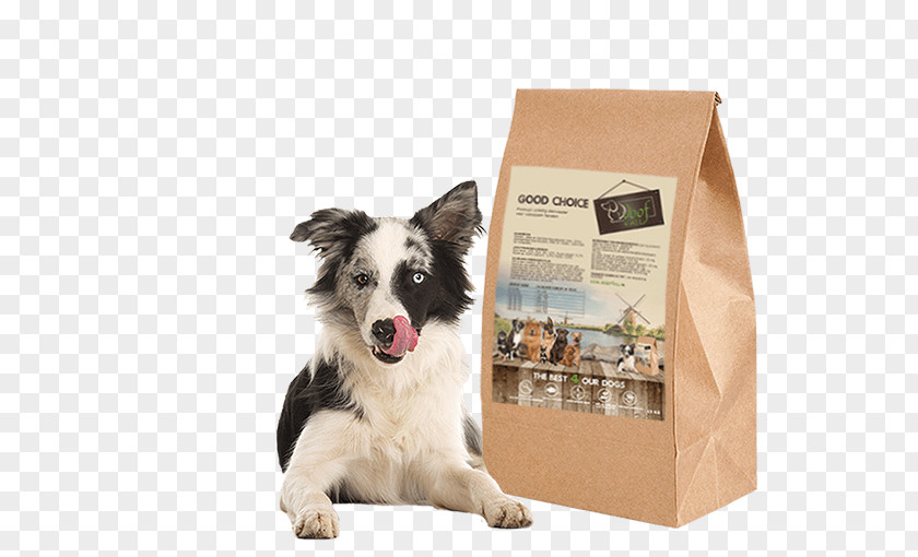 Good Choice Dog Breed Border Collie Puppy Food Companion PNG