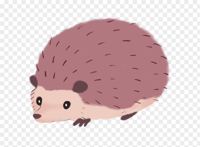 Hedgehog Desktop Wallpaper PNG