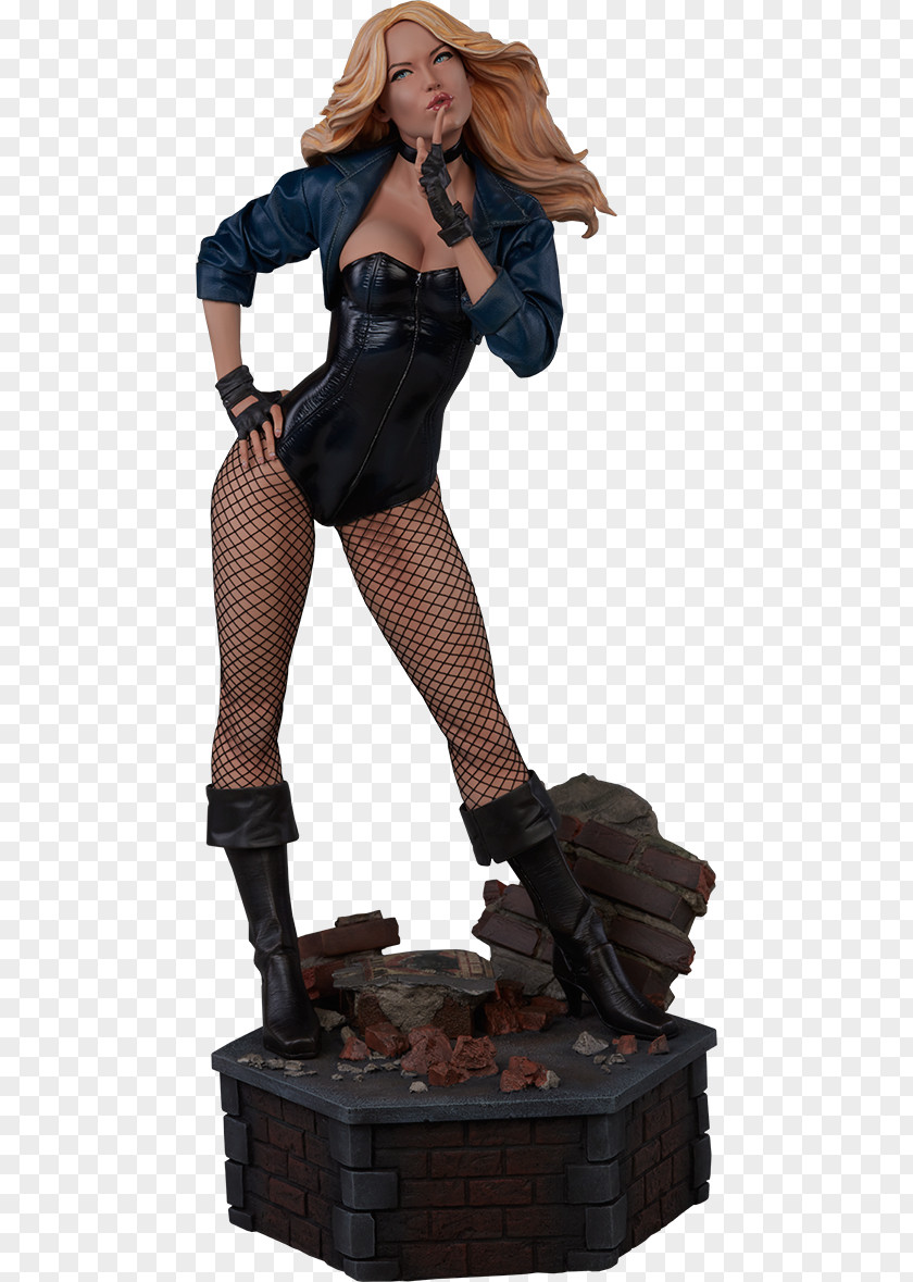 Justice League International Black Canary Huntress Lobo Superman Sideshow Collectibles PNG