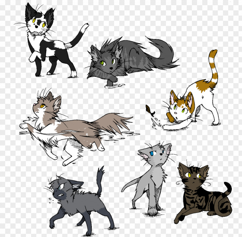 Kitten Whiskers Cat Canidae Paw PNG