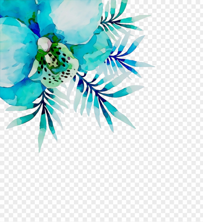 Aqua Turquoise Plant Flower PNG