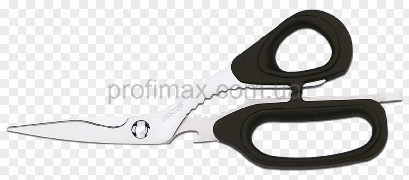 Knife Hunting & Survival Knives Kitchen Arcos Scissors PNG
