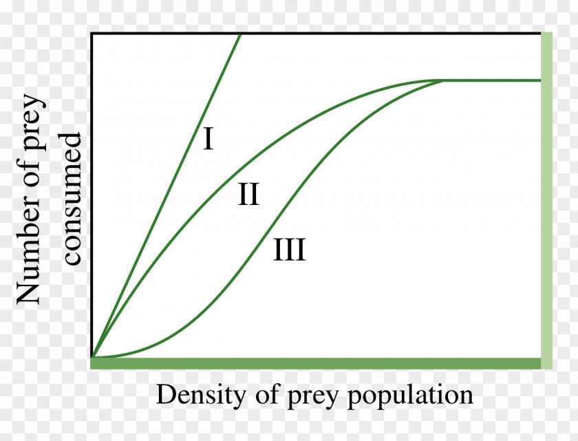 Mathematics Functional Response Exponential Function Growth Ecology PNG