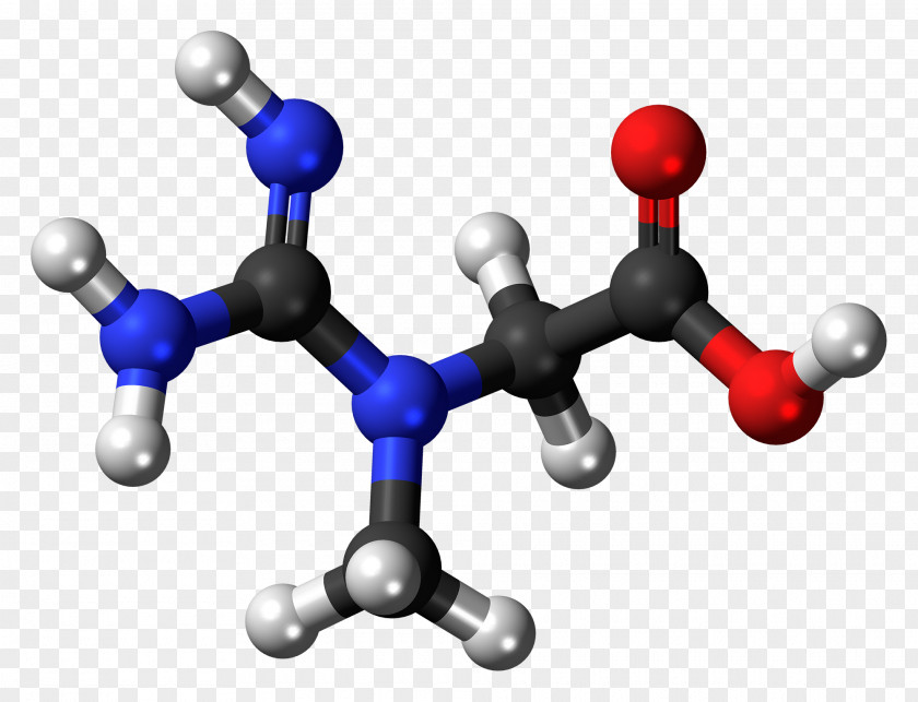 Molecule Glutamic Acid Creatine Kinase Thymidine Adipic PNG