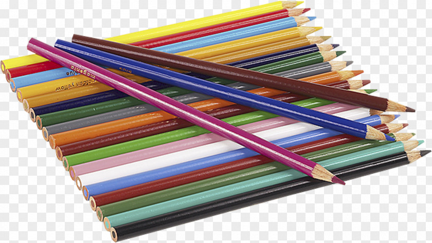 Pencil Forest School Colored PNG