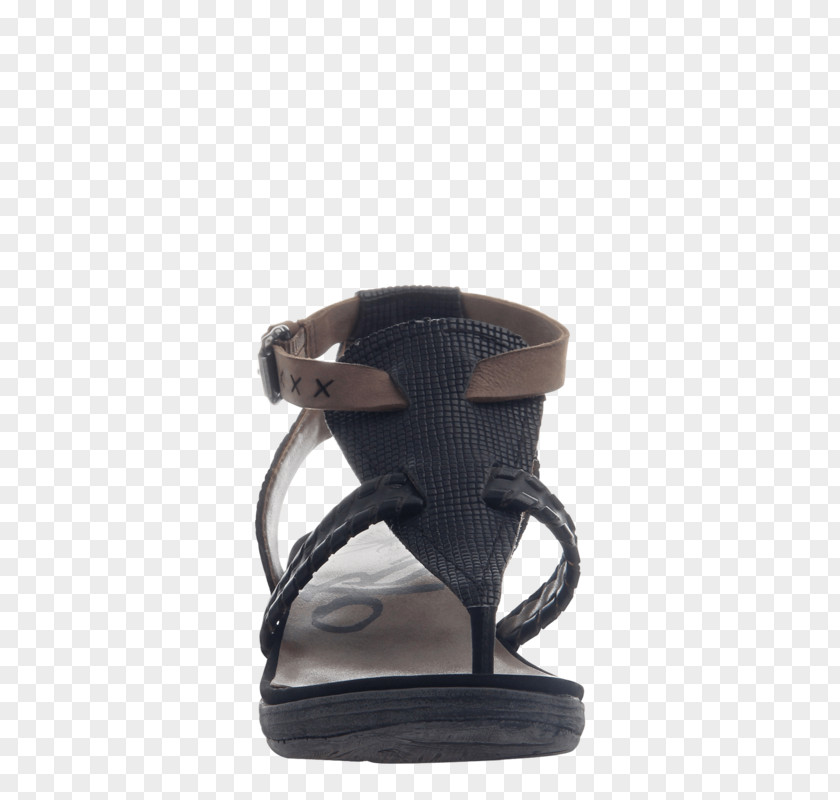 Sandal Shoe Flip-flops Clothing Leather PNG