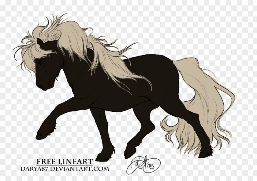 Shetland Pony Mane Mustang Stallion Colt Foal PNG