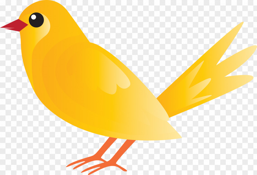 Bird Beak Yellow Songbird Finch PNG