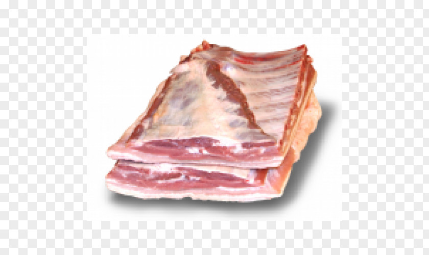 Ham Back Bacon Pork Belly Ribs PNG