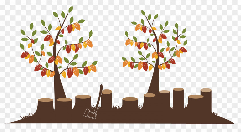 Leaf Clip Art PNG