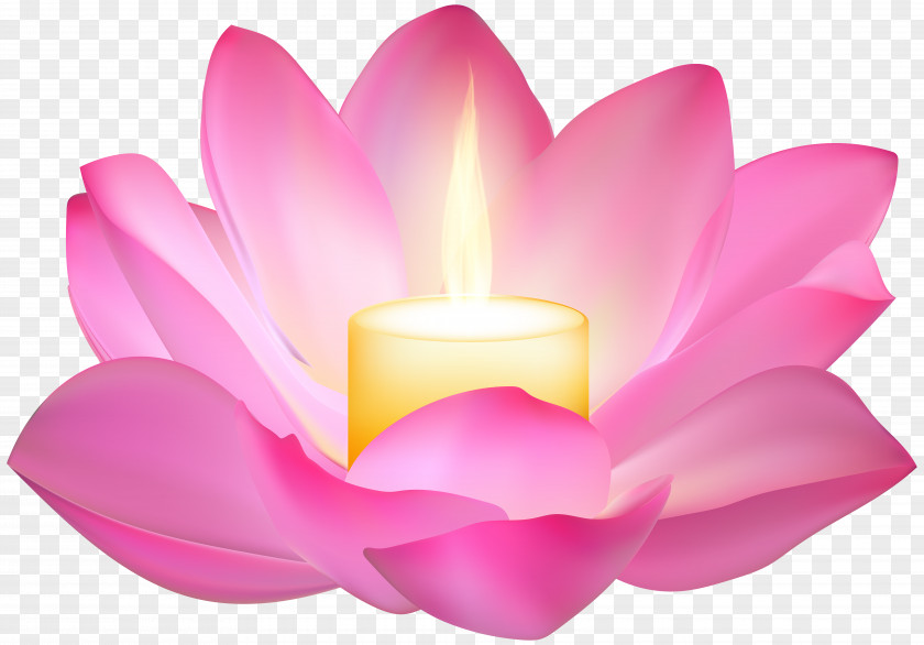 Lotus Candle Clip Art Image Wallpaper PNG