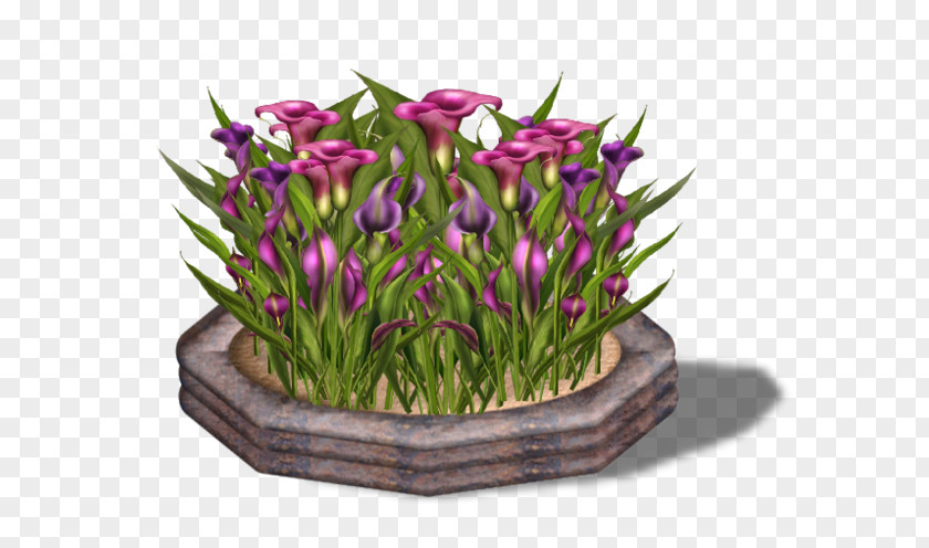 Abonne Toi Floral Design Egyed Emmanuelle Cut Flowers Tulip PNG